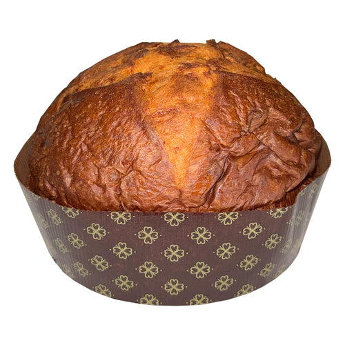 Panettone al Cioccolato Bianco e Albicocca
