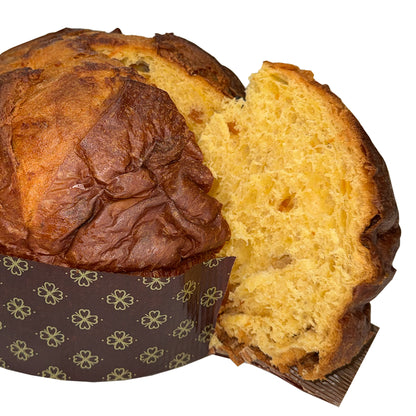 Panettone al Cioccolato Bianco e Albicocca