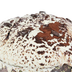 Panettone al Cioccolato Bianco e Caffè